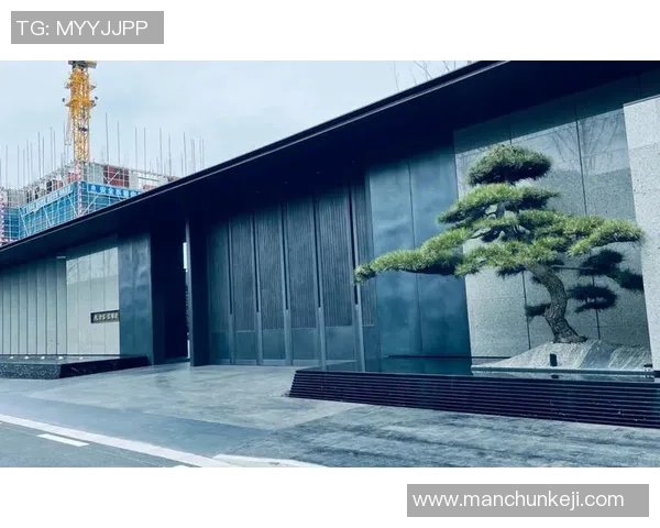南京金基足球俱乐部全新赛季展望与发展战略分析